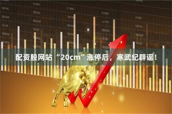 配资股网站 “20cm”涨停后，寒武纪辟谣！