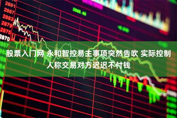 股票入门网 永和智控易主事项突然告吹 实际控制人称交易对方迟迟不付钱