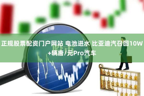 正规股票配资门户网站 电池进水 比亚迪汽召回10W+辆唐/元Pro汽车