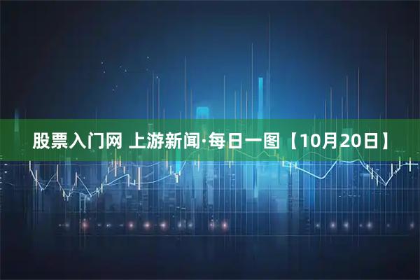 股票入门网 上游新闻·每日一图【10月20日】