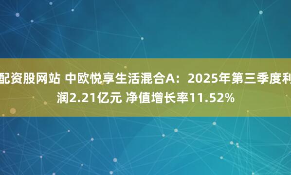 配资股网站 中欧悦享生活混合A：2025年第三季度利润2.21亿元 净值增长率11.52%