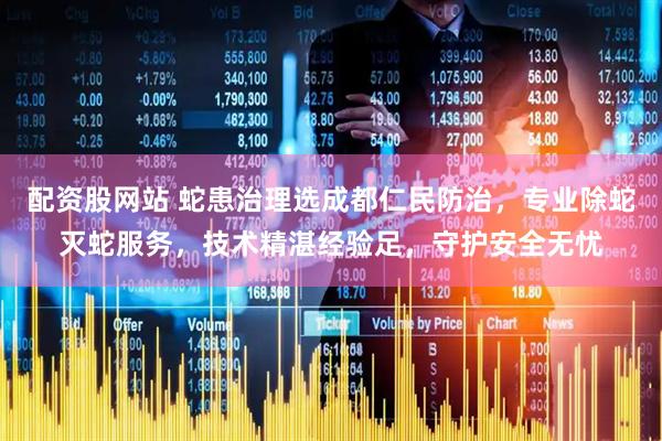 配资股网站 蛇患治理选成都仁民防治，专业除蛇灭蛇服务，技术精湛经验足，守护安全无忧
