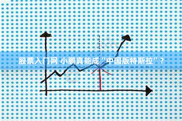 股票入门网 小鹏真能成“中国版特斯拉”？