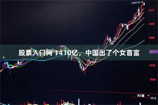 股票入门网 1410亿，中国出了个女首富