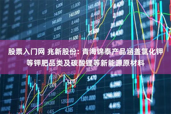 股票入门网 兆新股份: 青海锦泰产品涵盖氯化钾等钾肥品类及碳酸锂等新能源原材料