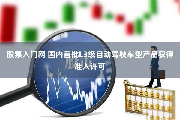 股票入门网 国内首批L3级自动驾驶车型产品获得准入许可