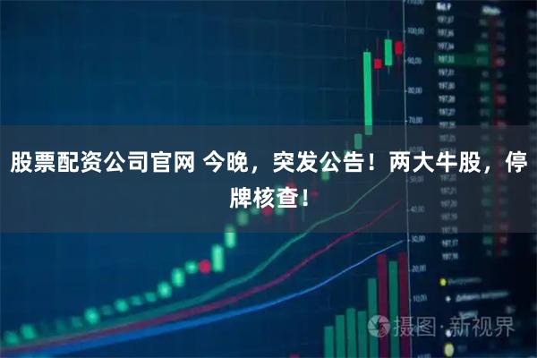 股票配资公司官网 今晚，突发公告！两大牛股，停牌核查！