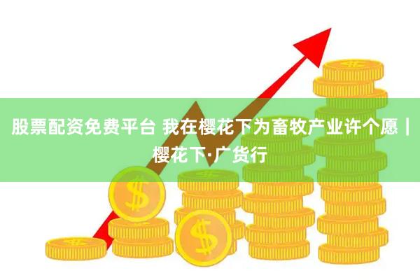股票配资免费平台 我在樱花下为畜牧产业许个愿｜樱花下·广货行