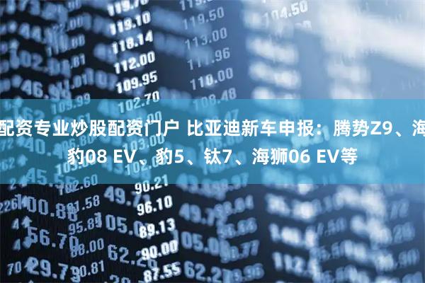 配资专业炒股配资门户 比亚迪新车申报：腾势Z9、海豹08 EV、豹5、钛7、海狮06 EV等