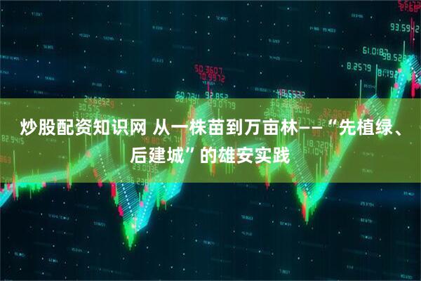 炒股配资知识网 从一株苗到万亩林——“先植绿、后建城”的雄安实践